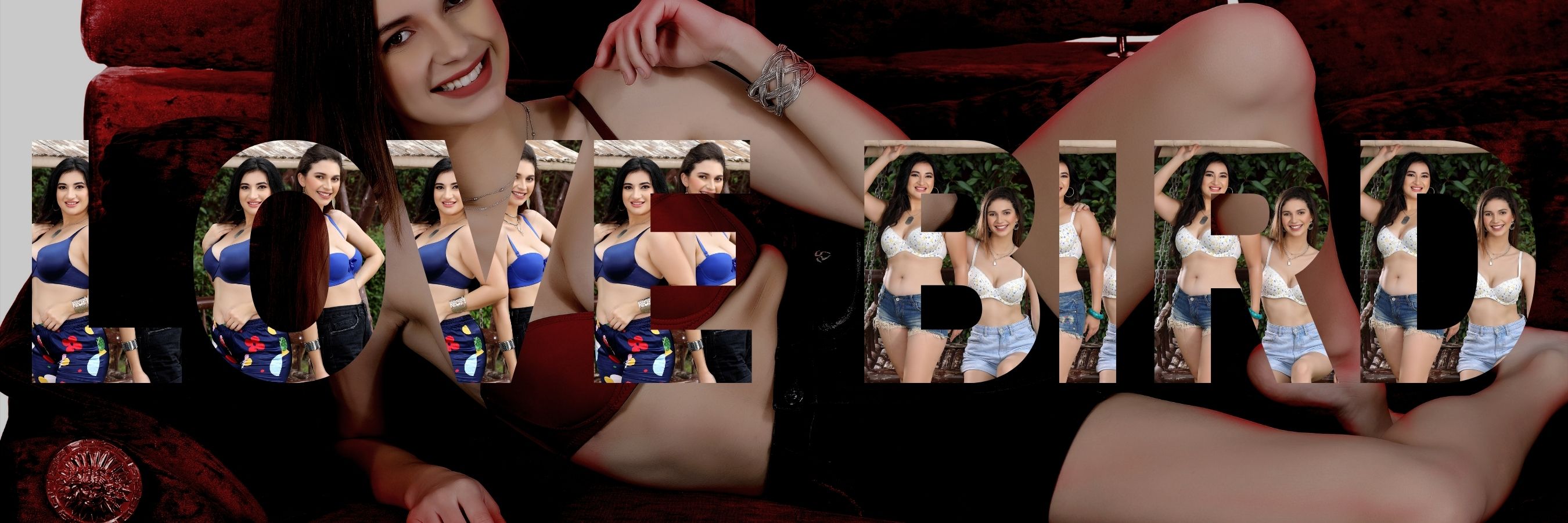 Lovebird Store Premium Plus Size Bras in India